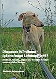 Diagnose Windhund - lebenslange Leinenpflicht?: Mobben, Klauen, Jagen - die liebsten Hobbys unserer (Wind)hunde