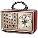 PRUNUS J-110BT FM AM(MW) SW Tragbares Bluetooth AUX MP3 Radio.Kofferradio Retro mit klassischem Vintage-Retro-Gehäuse in Holzoptik.Integrierter 5-W-Lautsprecher,Keine Kopfhörerbuchse.(silbern)